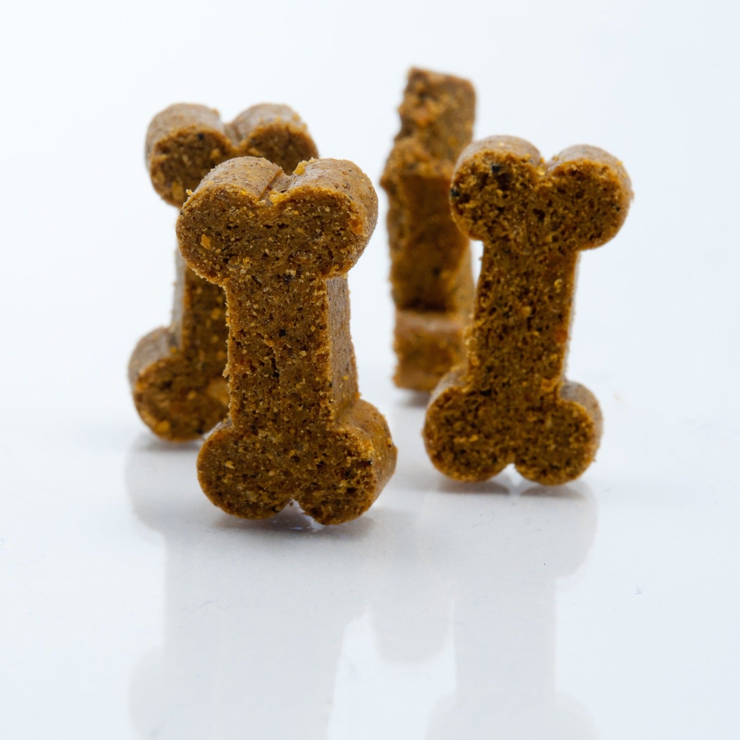 Enhance Canine Mobility & Comfort with Forte Flex K9
