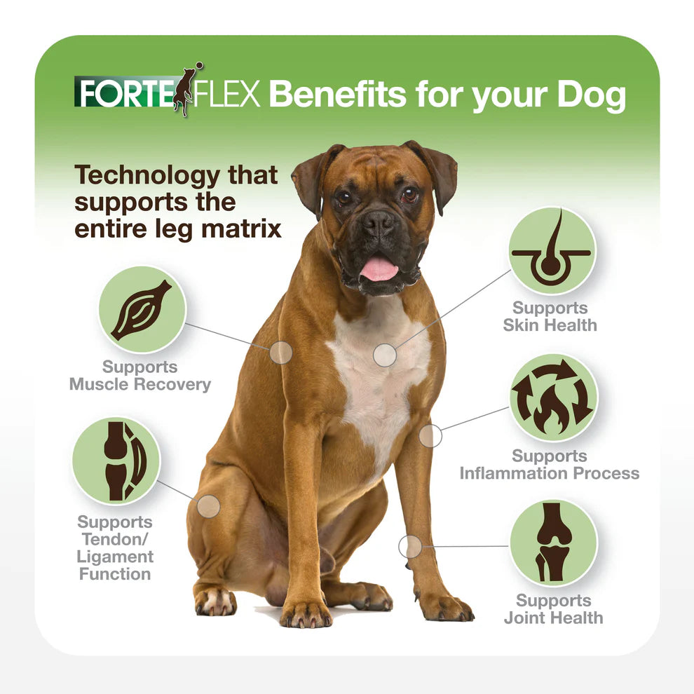 How Forte Flex K9 Supports Comprehensive Canine Joint Health