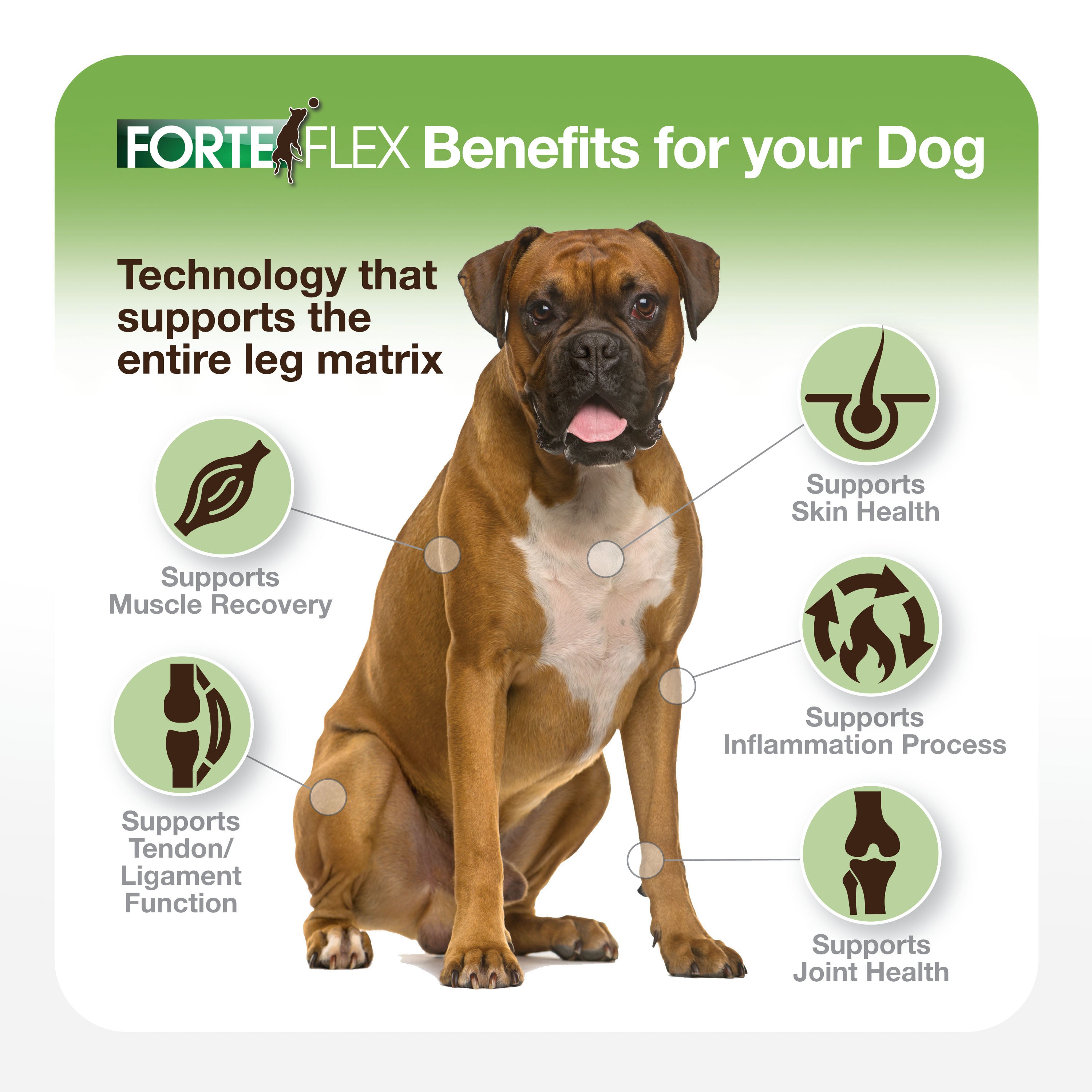 Forte Flex K9 - Joint & Soft Tissue Solution for Canine. Supports inflammation process, supports joints, dog arthritis, CLC, Hip Dysplasia dogs
