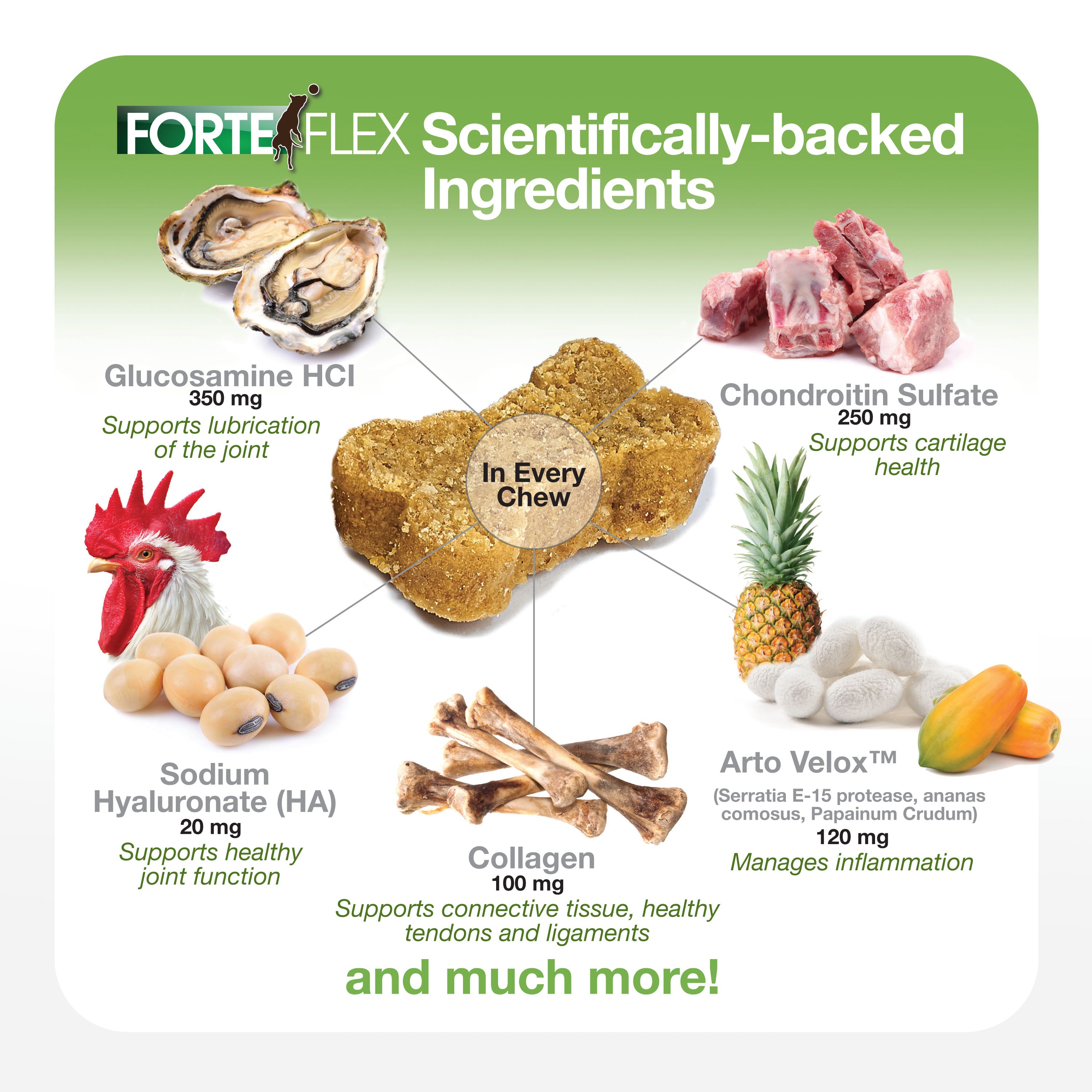 Forte Flex contains Glucosamine, chondroitin sulfate, Arto Velox, bromelain, serrapeptase, papain, collagen, hyaluronate acid, HA, 
