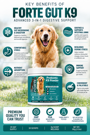 canine digestive support