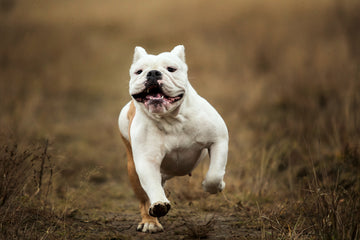 iStock-1161044377.jpg__PID:6fc35eec-d230-43b8-ac30-f099dbb7de01
