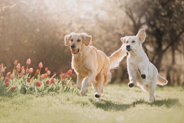 iStock-1172407219.jpg__PID:b73c6fc3-5eec-4230-93b8-2c30f099dbb7